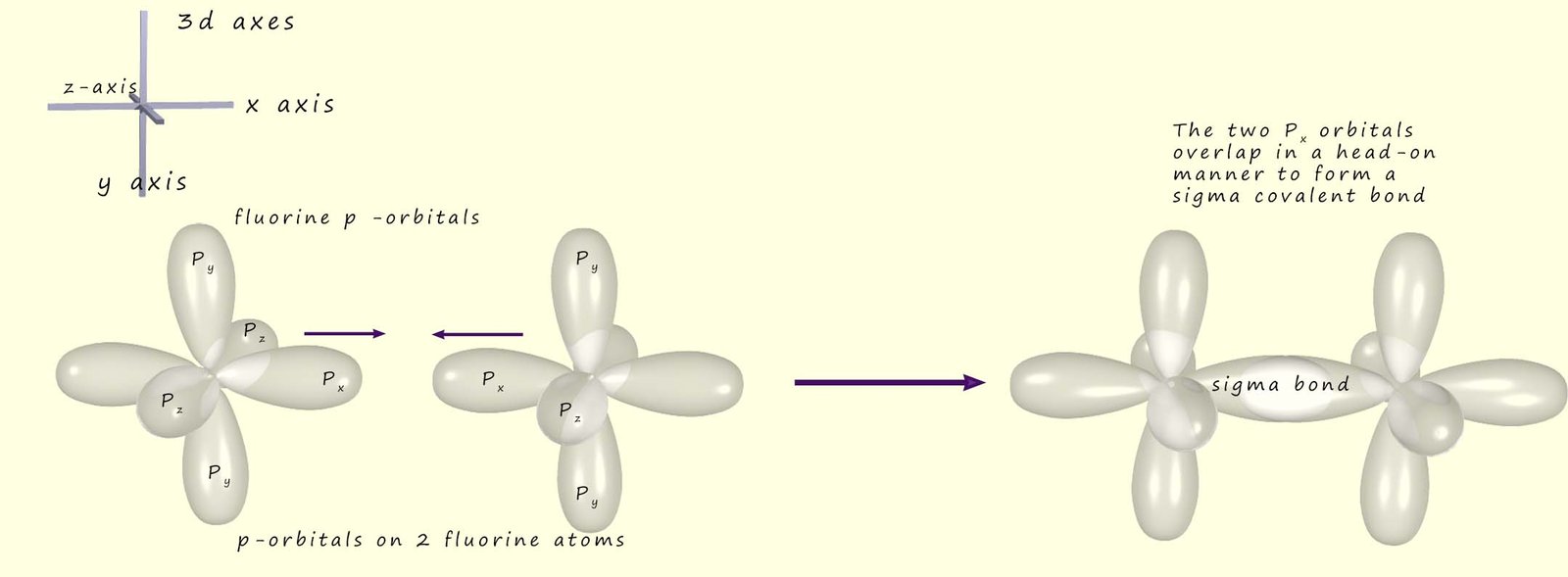 Diagram showing the head on overlap of p-orbitals in two fluorine atoms to form a sigma covalent bond.